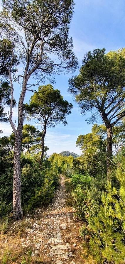 Le Mas Des Fleurs Seguret Villa Dış mekan fotoğraf